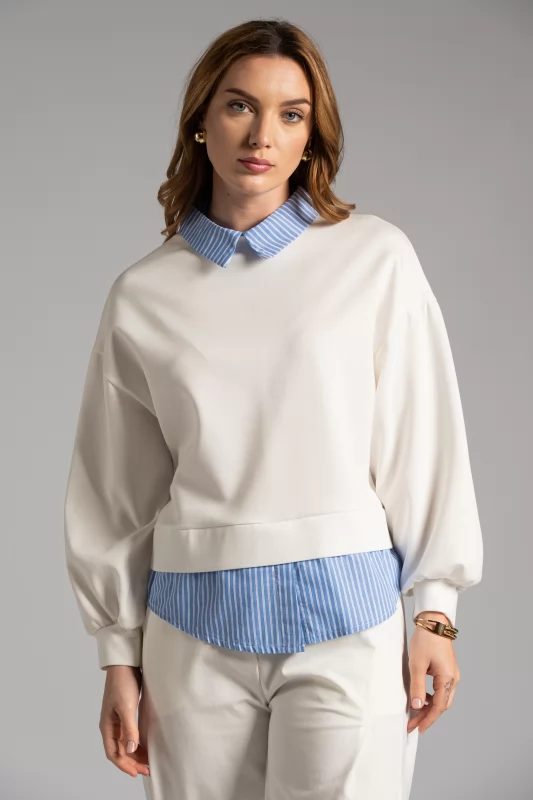 Blouse Collar shirt 