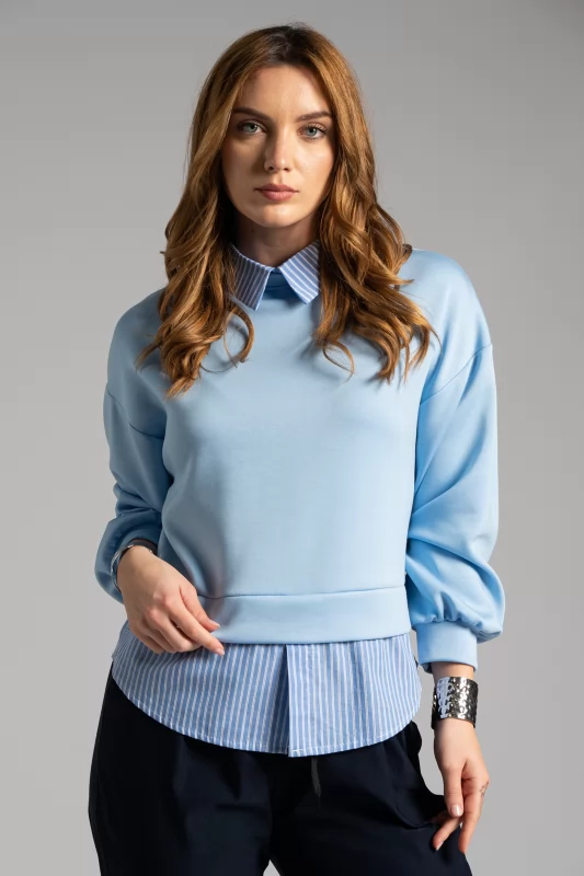 Blouse Collar shirt 