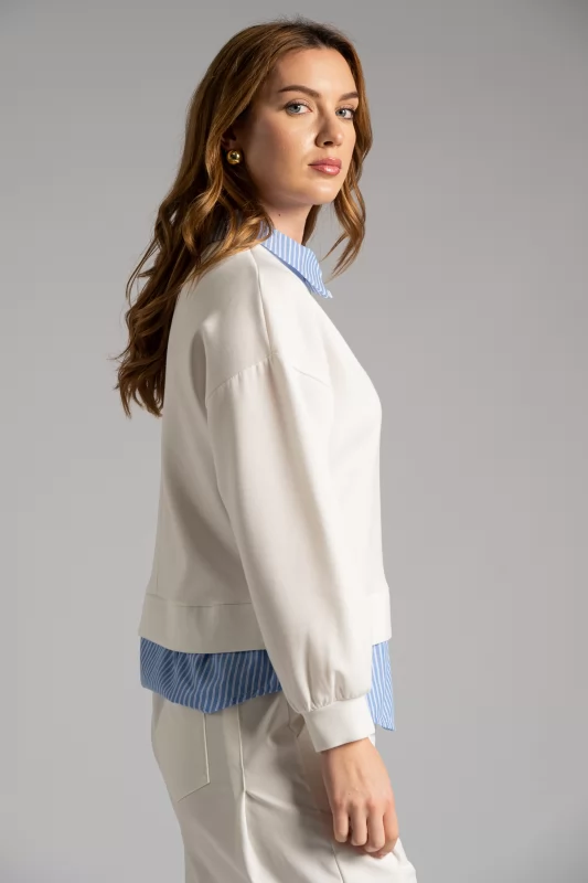 Blouse Collar shirt 