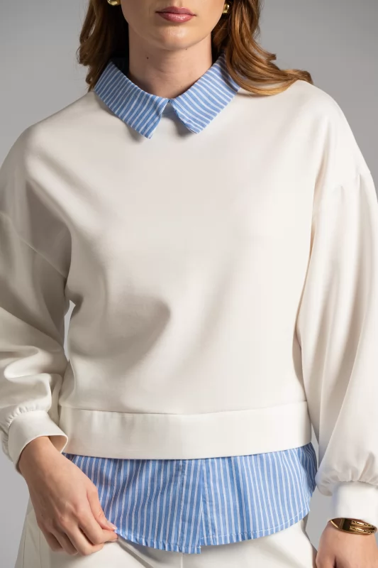 Blouse Collar shirt 