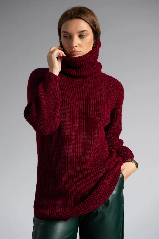 Knitted Blousedress Turtleneck 