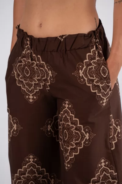 Pants Dioni Brown