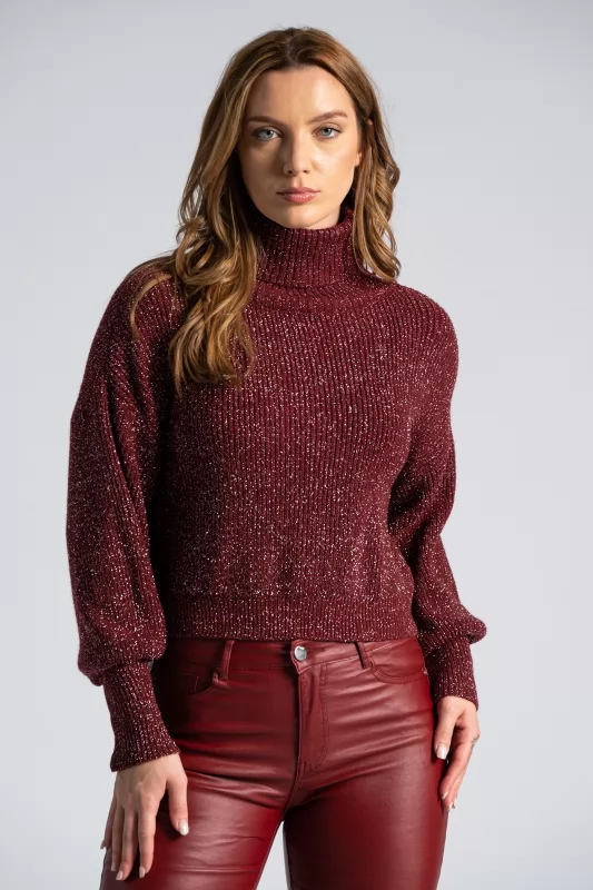 Turtleneck pullover Silver thread 