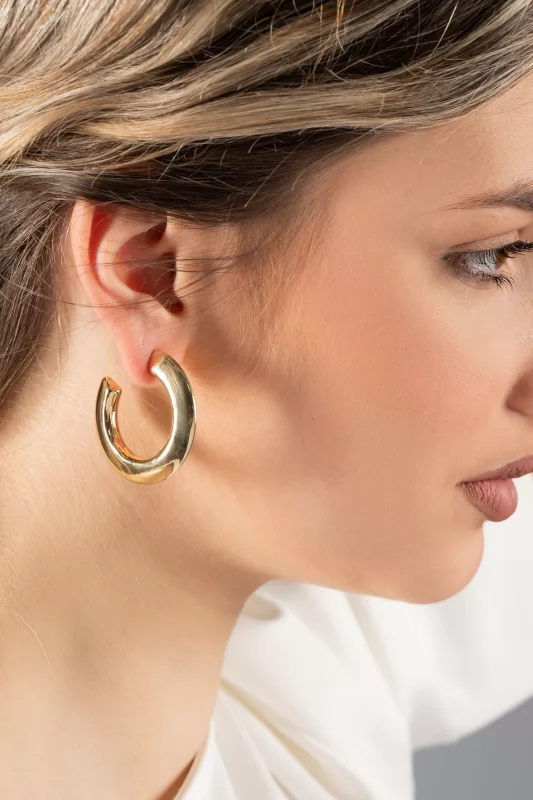 Earrings Elegance