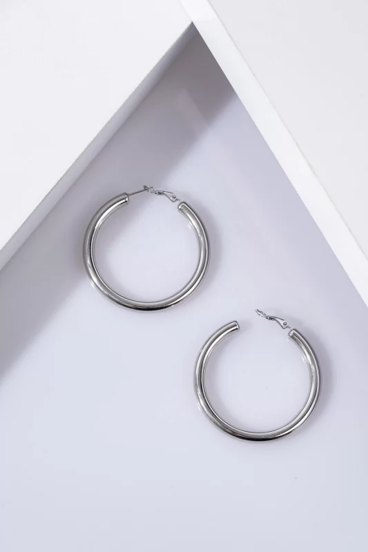 Earrings Circles Silver