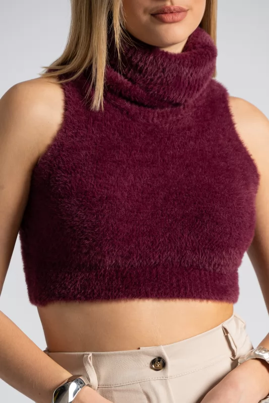 Top Crop Turtleneck