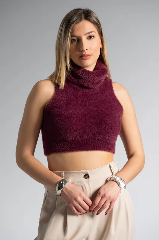 Top Crop Turtleneck