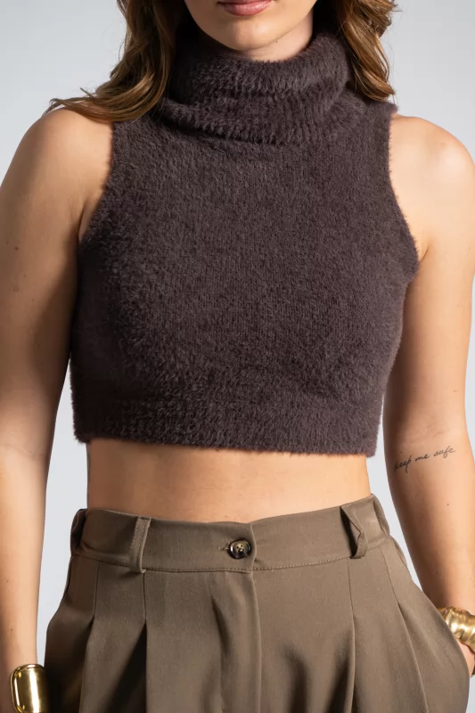 Top Crop Turtleneck