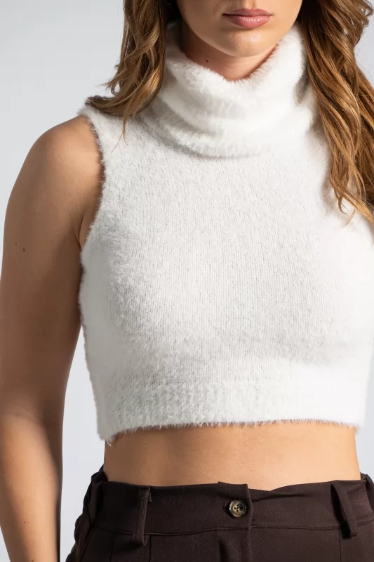 Top Crop Turtleneck