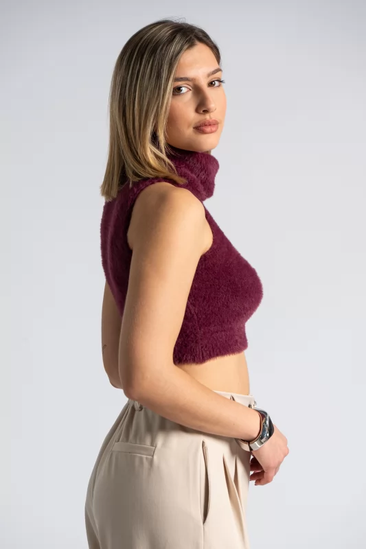 Top Crop Turtleneck